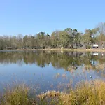 Romantic Forest Retreat With Sauna *
