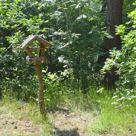 Detached With Sauna Large Garden * Stramproy