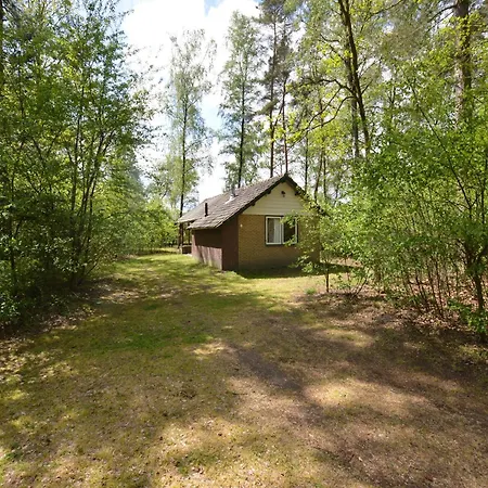 Vakantiehuis Romantic Forest Retreat With Sauna *
