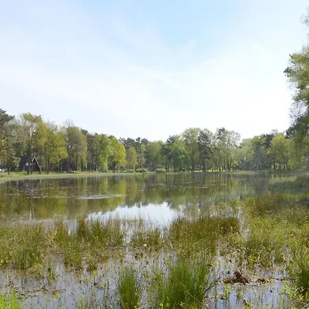 Vakantiehuis Romantic Forest Retreat With Sauna Stramproy