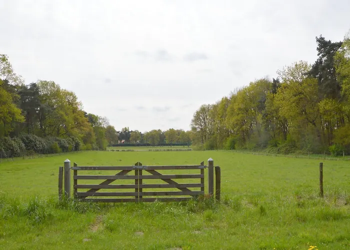 Romantic Forest Retreat With Sauna Holiday home Stramproy