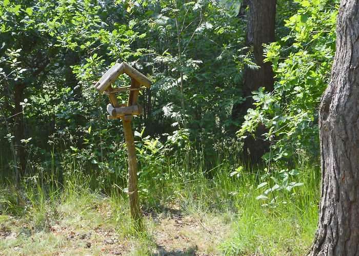 Romantic Forest Retreat With Sauna Holiday home