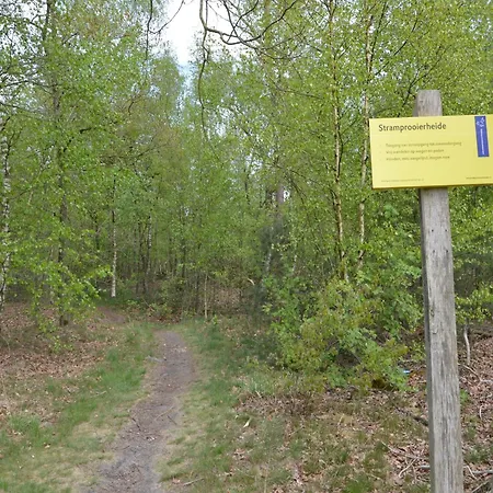 Romantic Forest Retreat With Sauna *