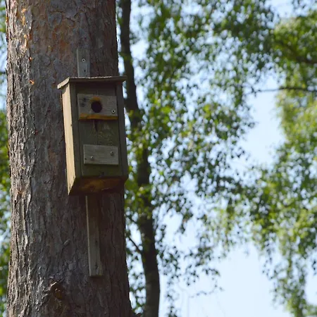 Casa vacanze Romantic Forest Retreat With Sauna Stramproy