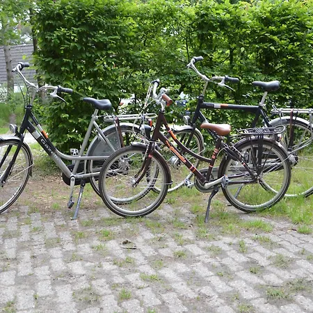 Romantic Forest Retreat With Sauna Casa vacanze *