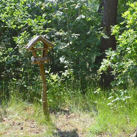 Romantic Forest Retreat With Sauna Casa vacanze